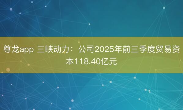 尊龙app 三峡动力：公司2025年前三季度贸易资本118.40亿元