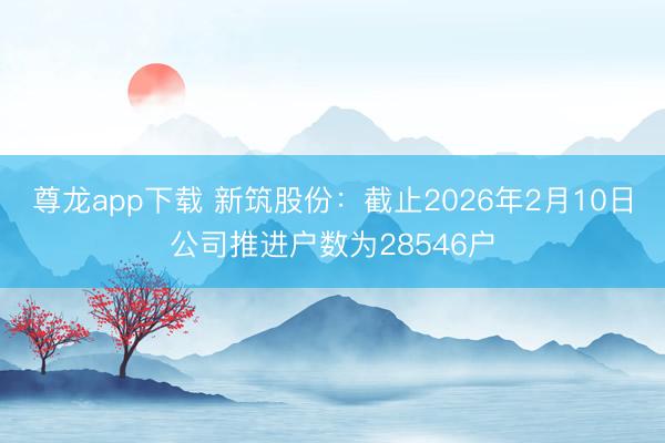 尊龙app下载 新筑股份：截止2026年2月10日公司推进户数为28546户