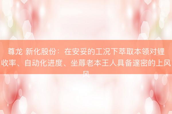 尊龙 新化股份：在安妥的工况下萃取本领对锂收率、自动化进度、坐蓐老本王人具备邃密的上风