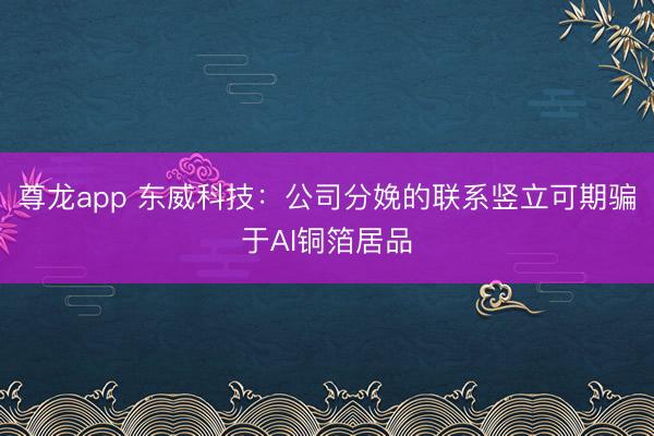 尊龙app 东威科技:公司分娩的联系竖立可期骗于AI铜箔居品