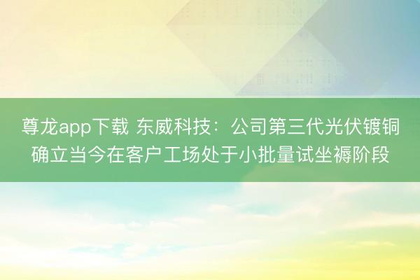 尊龙app下载 东威科技：公司第三代光伏镀铜确立当今在客户工场处于小批量试坐褥阶段