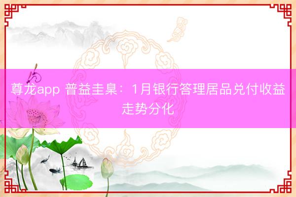 尊龙app 普益圭臬：1月银行答理居品兑付收益走势分化