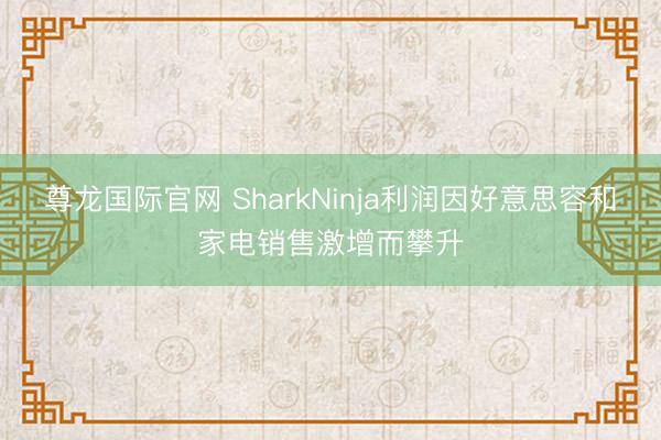 尊龙国际官网 SharkNinja利润因好意思容和家电销售激增而攀升