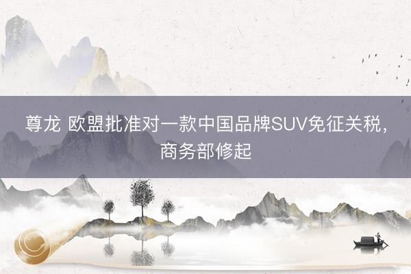 尊龙 欧盟批准对一款中国品牌SUV免征关税，商务部修起