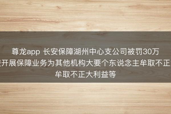尊龙app 长安保障湖州中心支公司被罚30万元：行使开展保障业务为其他机构大要个东说念主牟取不正大利益等