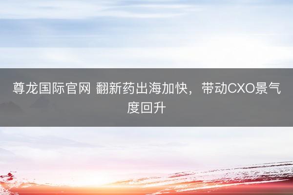 尊龙国际官网 翻新药出海加快，带动CXO景气度回升