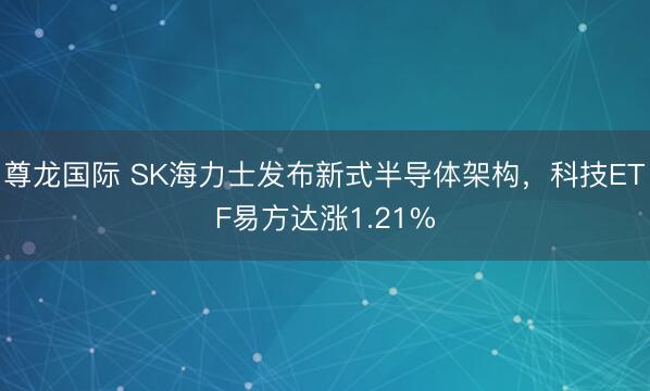 尊龙国际 SK海力士发布新式半导体架构,科技ETF易方达涨1.21%