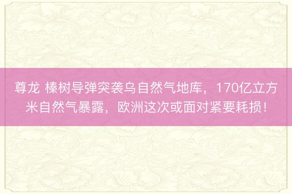 尊龙 榛树导弹突袭乌自然气地库，170亿立方米自然气暴露，欧洲这次或面对紧要耗损！