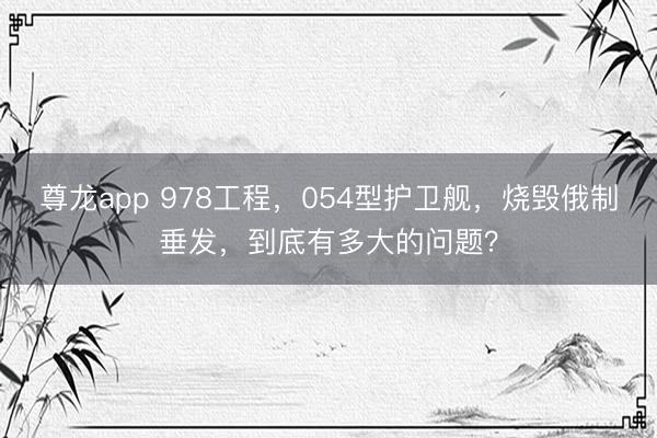 尊龙app 978工程，054型护卫舰，烧毁俄制垂发，到底有多大的问题？