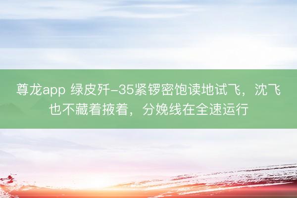 尊龙app 绿皮歼-35紧锣密饱读地试飞，沈飞也不藏着掖着，分娩线在全速运行