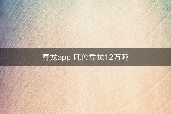 尊龙app 吨位靠拢12万吨