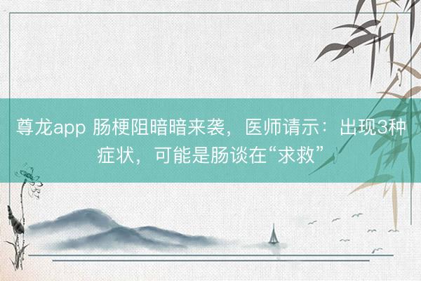 尊龙app 肠梗阻暗暗来袭，医师请示：出现3种症状，可能是肠谈在“求救”