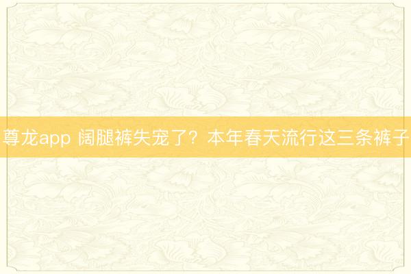 尊龙app 阔腿裤失宠了？本年春天流行这三条裤子