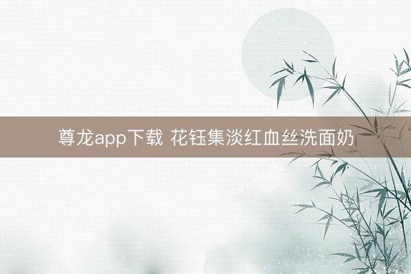 尊龙app下载 花钰集淡红血丝洗面奶