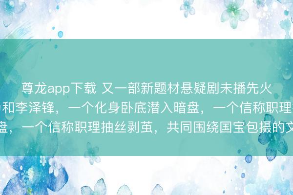 尊龙app下载 又一部新题材悬疑剧未播先火，《宋纸迷踪》佟大为和李泽锋，一个化身卧底潜入暗盘，一个信称职理抽丝剥茧，共同围绕国宝包摄的文化跟踪