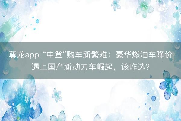 尊龙app “中登”购车新繁难：豪华燃油车降价遇上国产新动力车崛起，该咋选?