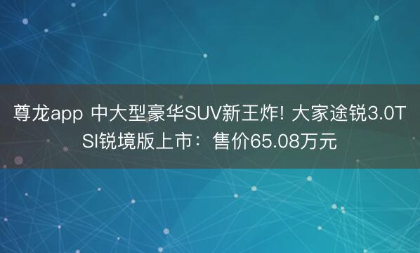 尊龙app 中大型豪华SUV新王炸! 大家途锐3.0TSI锐境版上市:售价65.08万元