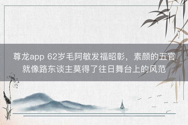 尊龙app 62岁毛阿敏发福昭彰，素颜的五官就像路东谈主莫得了往日舞台上的风范