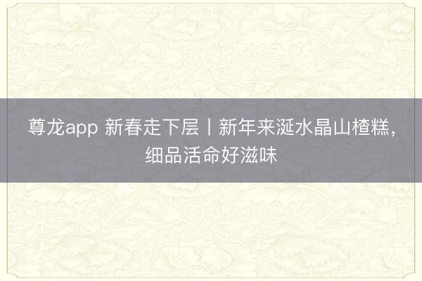 尊龙app 新春走下层丨新年来涎水晶山楂糕,细品活命好滋味