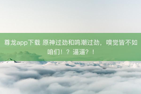 尊龙app下载 原神过劲和鸣潮过劲,嗅觉皆不如咱们!?逼逼?!