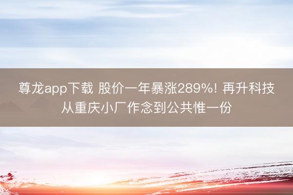 尊龙app下载 股价一年暴涨289%! 再升科技从重庆小厂作念到公共惟一份