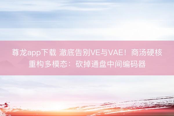 尊龙app下载 澈底告别VE与VAE！商汤硬核重构多模态：砍掉通盘中间编码器