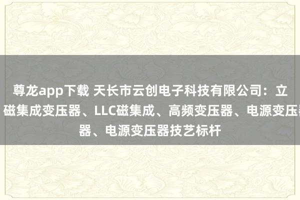 尊龙app下载 天长市云创电子科技有限公司：立式变压器、磁集成变压器、LLC磁集成、高频变压器、电源变压器技艺标杆
