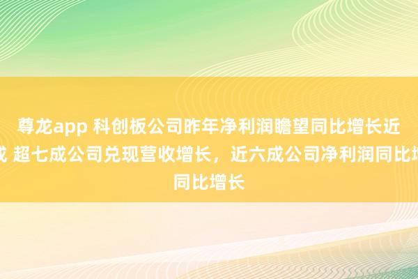 尊龙app 科创板公司昨年净利润瞻望同比增长近三成 超七成公司兑现营收增长，近六成公司净利润同比增长