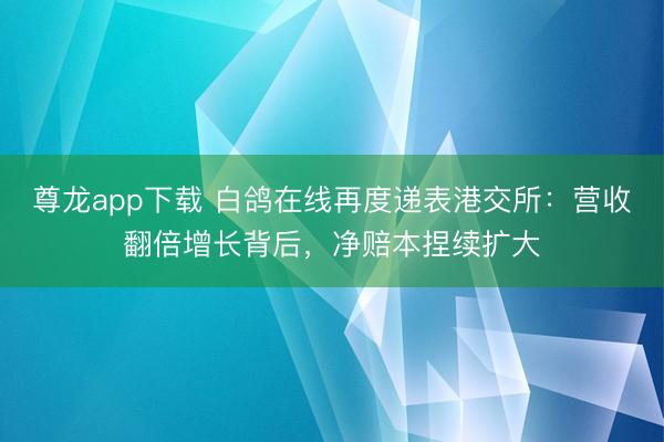 尊龙app下载 白鸽在线再度递表港交所：营收翻倍增长背后，净赔本捏续扩大