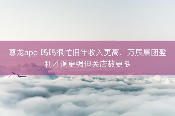 尊龙app 鸣鸣很忙旧年收入更高，万辰集团盈利才调更强但关店数更多