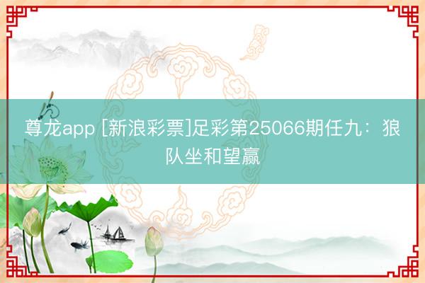 尊龙app [新浪彩票]足彩第25066期任九：狼队坐和望赢