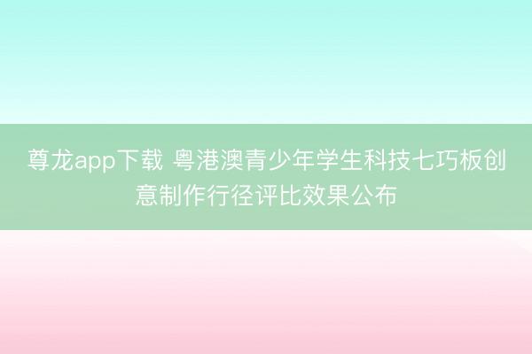 尊龙app下载 粤港澳青少年学生科技七巧板创意制作行径评比效果公布