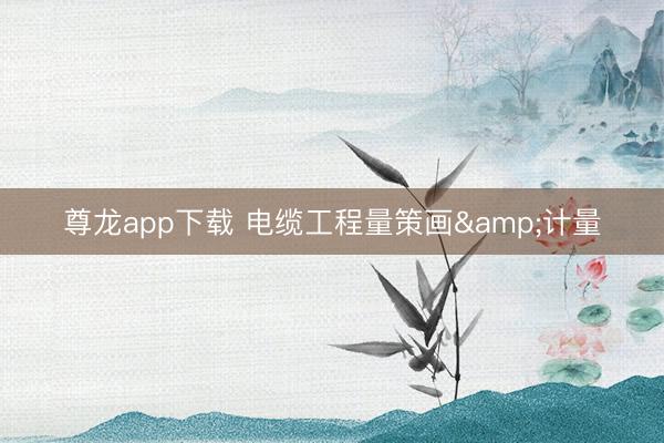 尊龙app下载 电缆工程量策画&计量