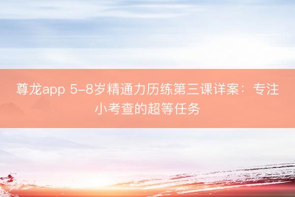 尊龙app 5-8岁精通力历练第三课详案：专注小考查的超等任务