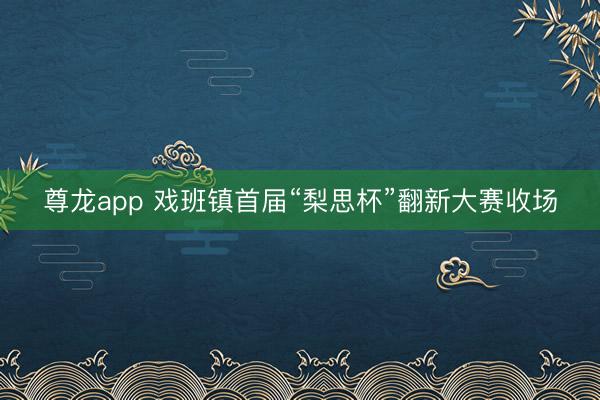 尊龙app 戏班镇首届“梨思杯”翻新大赛收场