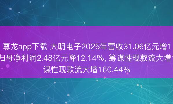 尊龙app下载 大明电子2025年营收31.06亿元增13.92%， 归母净利润2.48亿元降12.14%， 筹谋性现款流大增160.44%
