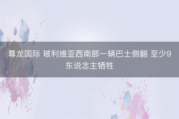 尊龙国际 玻利维亚西南部一辆巴士侧翻 至少9东说念主牺牲