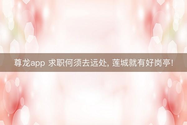 尊龙app 求职何须去远处， 莲城就有好岗亭!