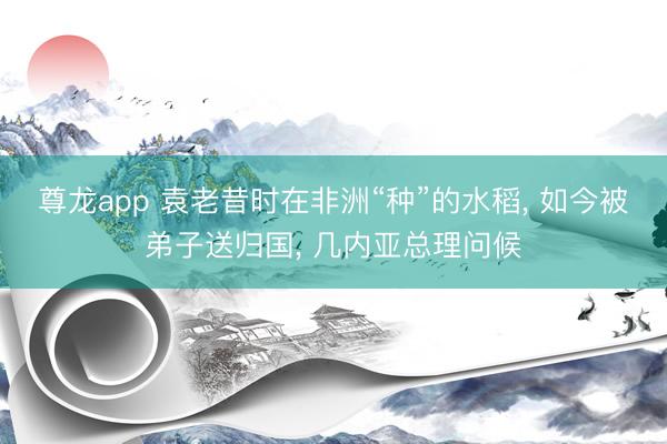 尊龙app 袁老昔时在非洲“种”的水稻， 如今被弟子送归国， 几内亚总理问候