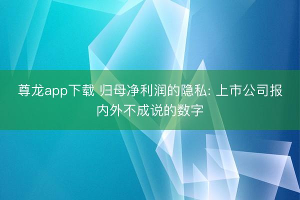 尊龙app下载 归母净利润的隐私: 上市公司报内外不成说的数字