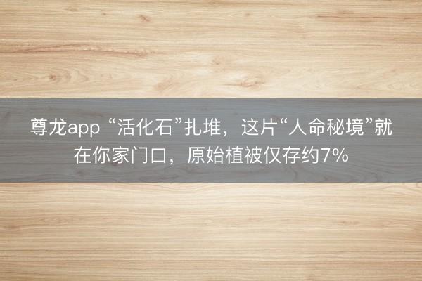 尊龙app “活化石”扎堆，这片“人命秘境”就在你家门口，原始植被仅存约7%