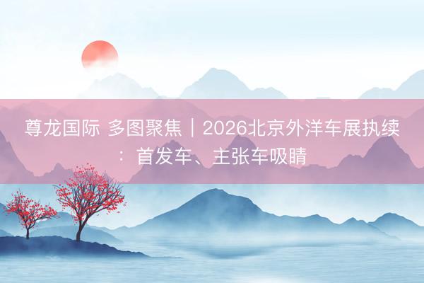 尊龙国际 多图聚焦｜2026北京外洋车展执续：首发车、主张车吸睛